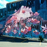 Street Art Trail, Dunedin