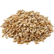 Unsalted Seeds