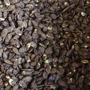 Tamarin Pumpkin Seeds