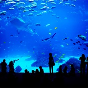 Aquarium