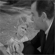 The Twilight Zone: "Walking Distance" (S1,E5)