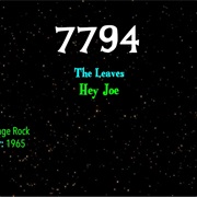 #9337 Hey Joe by the Leaves