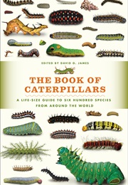 The Book of Caterpillars (David W. James)