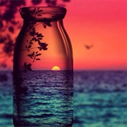 Bottle a Sunset