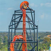 Tigris (Busch Gardens Tampa, USA)