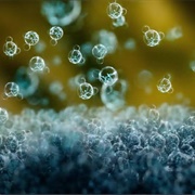 6. Deeper, Deeper, Deeper Still