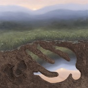 Raphael Rogiński - Žaltys (2024)