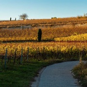 St. Jakobspilgerweg in Wonnegau