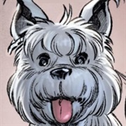 Princess Masters-Grimm