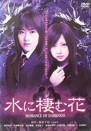 Romance of Darkness (2006)