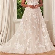 Appliques Scattered Over Dress