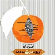 Trust the Tangerine Peel - Mohsen Namjoo