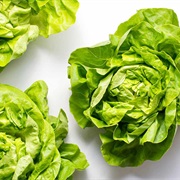 Boston Lettuce