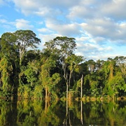Itaipu Biosphere Reserve, Paraguay