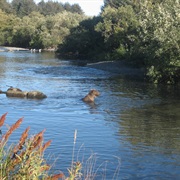 Buskin River State Recreation Site
