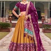 Traditional One-Side Drape of Dupatta