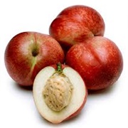 White Flesh Nectarines - Tifany