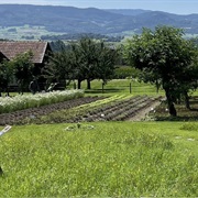 Aesch BL, Switzerland