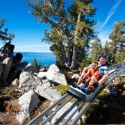 Ridge Rider Mountain Coaster