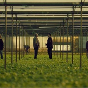 S4.E12: Episode #4.12