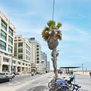 Herbert Samuel Road, Tel Aviv