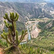 Barranca De Metztitlán, Hidalgo, Mexico