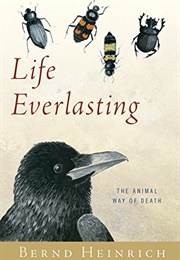 Life Everlasting (Bernd Heinrich)