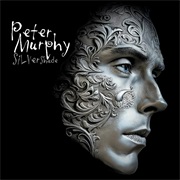 Peter Murphy- Silver Shade