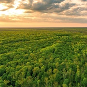 Voronezhskiy Biosphere Reserve, Russia