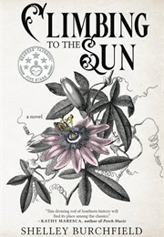 Climbing to the Sun (Shelley Burchfield)