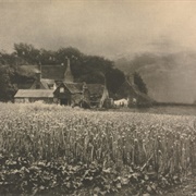The Onion Field (George Davison)