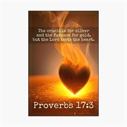 Proverbs 17:3