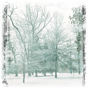 Autumn Orange - Shades of Winter Haze