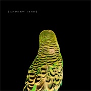 Imitosis - Andrew Bird