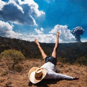 Geese - 3D Country (2023)