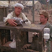 Mad Dogs and Servicemen