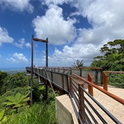 Forest Sky Pier, Coffs Harbour