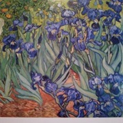 Utrecht, Netherlands