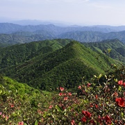 Chebaling Nature Reserve, Guangdong, China
