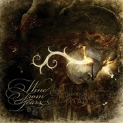 Through the Eyes of a Mad - Wine From Tears (2009)