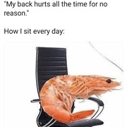 Shrimp Posture