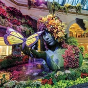Visit Bellangio Hotel Botanical Garden, Las Vegas