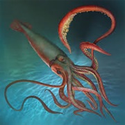 Giant Squid