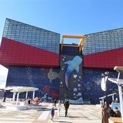 Kaiyukan Aquarium, Osaka