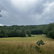 Bill Hill, Thetford Center, VT