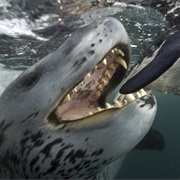 1. Challenges of Life