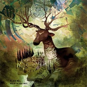 Black Hill - Maze in the Dark Forest