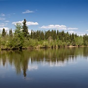 Salcha River State Recreation Site