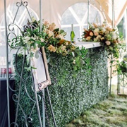 "Living Bar" Using Plants