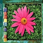 Zion Train: Single Minded & Alive